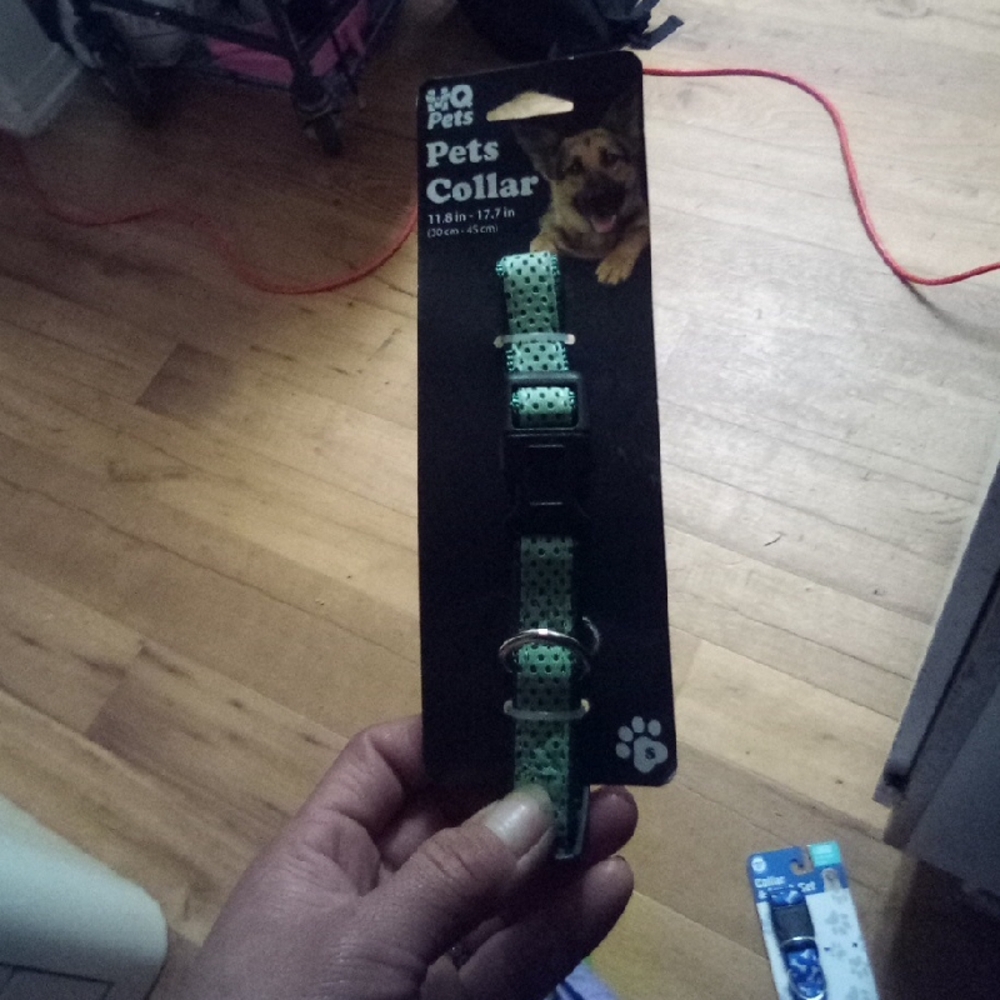 WQ Pets Green Collar